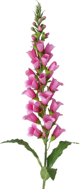 Immagine prodotto Boltze Home Stielblume (8.90 cm)