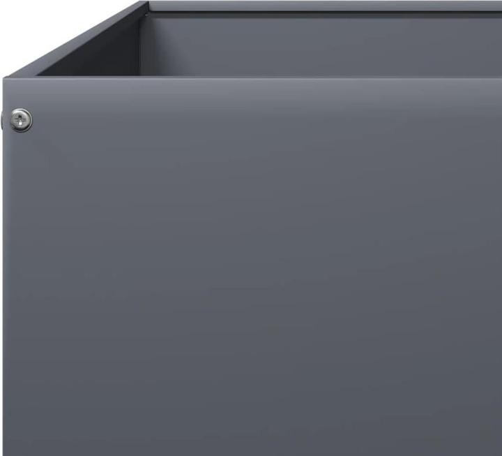 Image du produit vidaXL Hochbeet