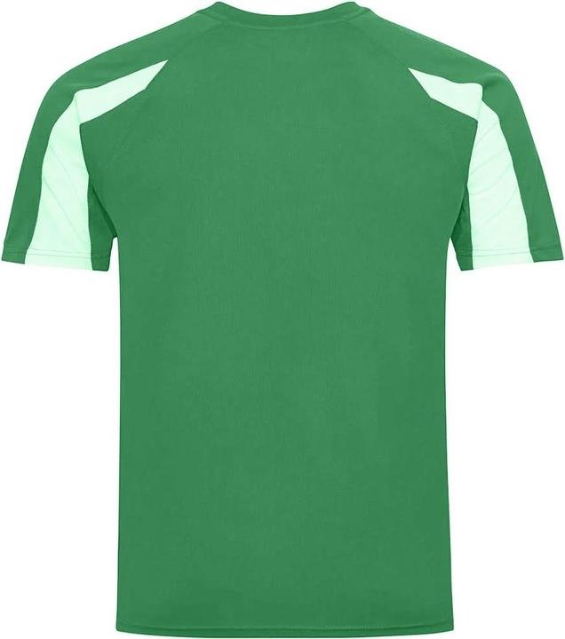 Actual product image Awdis Mens Contrast Moisture Wicking T-Shirt (M)