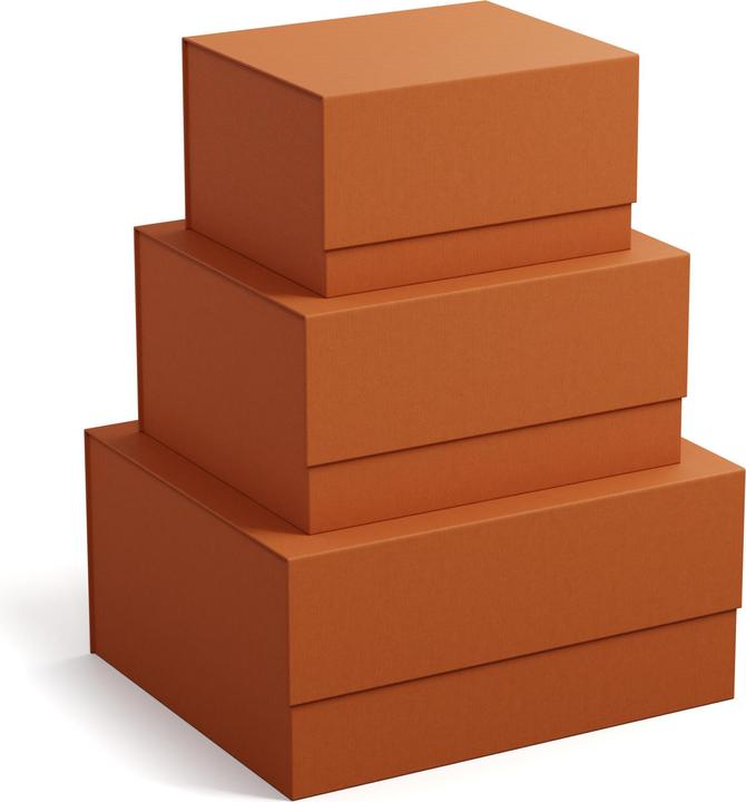 Image du produit Bigso Boîte de rangement Ilse