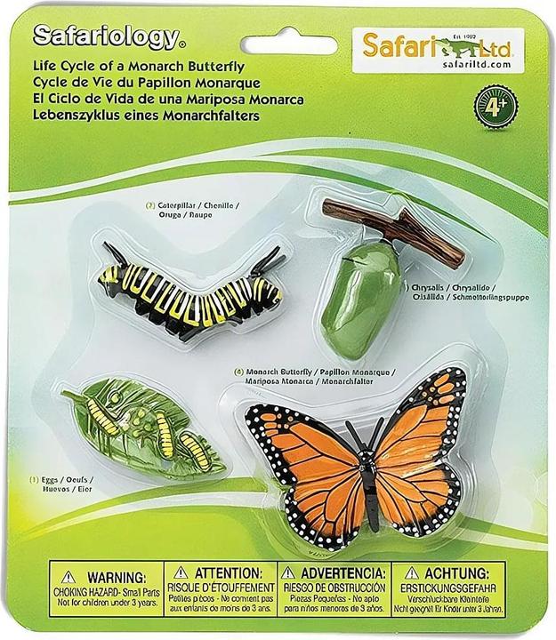 Image du produit Safari Cycle de vie du papillon monarque