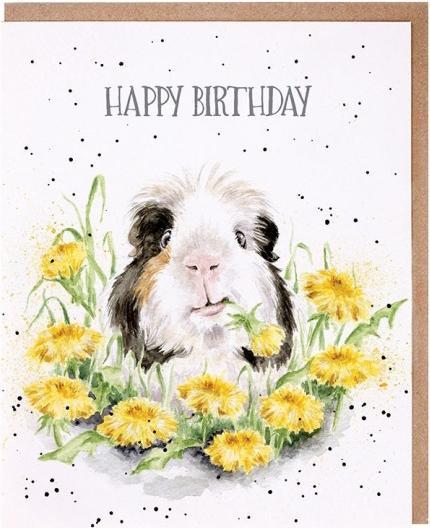 Wrendale Design Geburtstagskarte - Meerschweinchen HAPPY BIRTHDAY Wrendale Designs (1 pcs.)