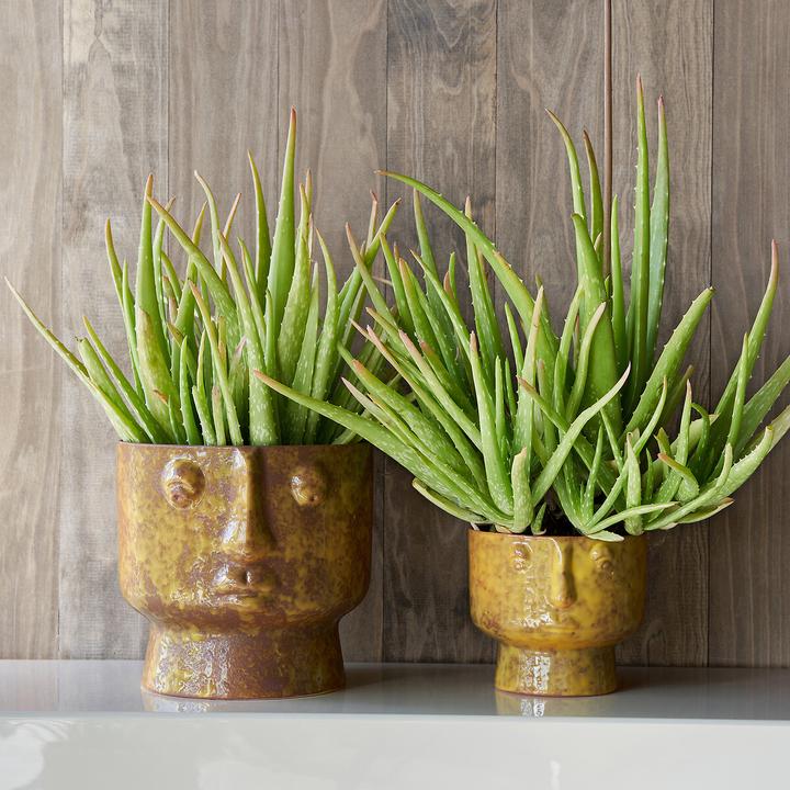 Produktbild AM.PM Lesego (26 x 24 cm)