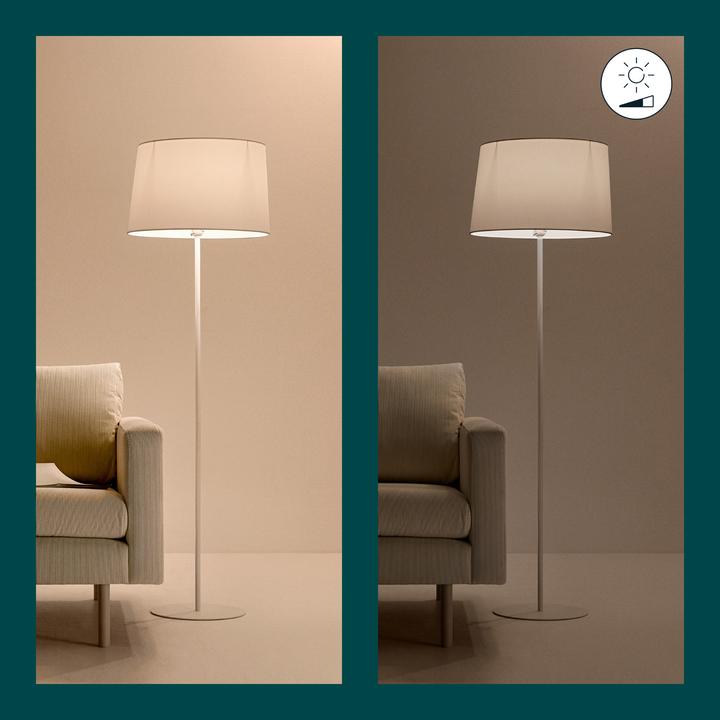Actual product image WiZ Tunable White (E27, 8 W, 806 lm, 1 x, F)