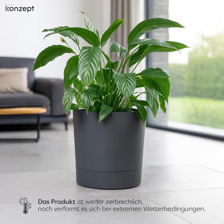 Produktbild Konzept Grosser Blumentopf