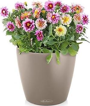 Produktbild Lechuza Classico Color 35 (35 x 32.50 cm)