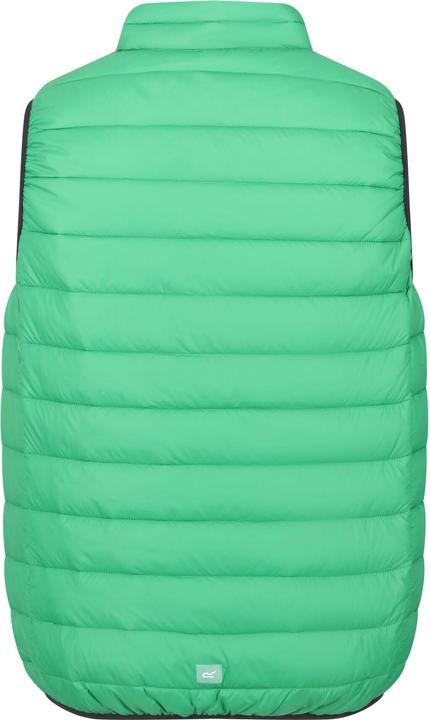 Actual product image Regatta Mens Marizion Quilted Gilet (S)