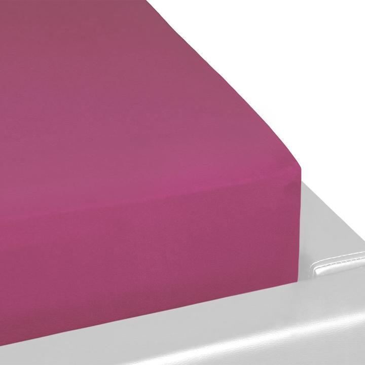 Fuchsia