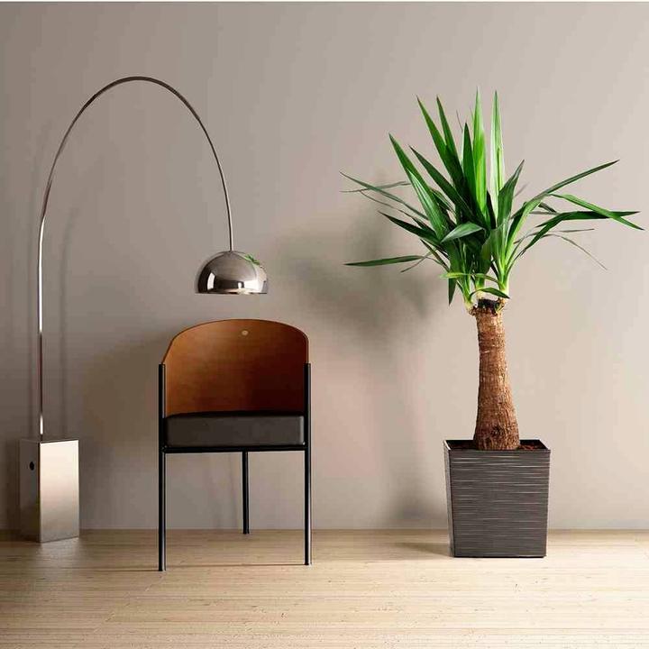 Produktbild Siena Garden Modern (40 cm)