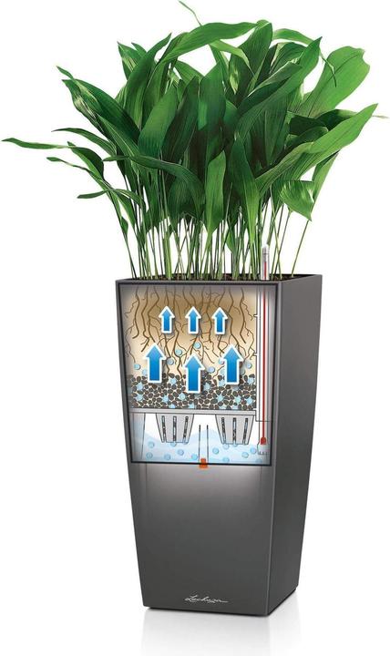 Produktbild Lechuza Cubico (22 cm)
