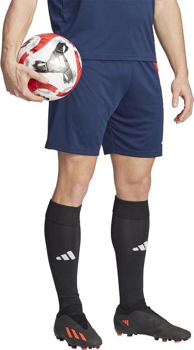 Produktbild adidas FORTORE 23 Trainingsshorts Herren (XXL)