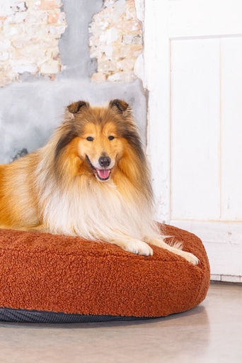 Image du produit Designed by Lotte Lit de repos Ribbed (Chien)