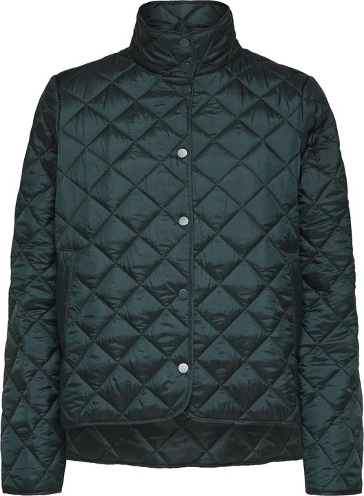 Selected Plastic Change (36)