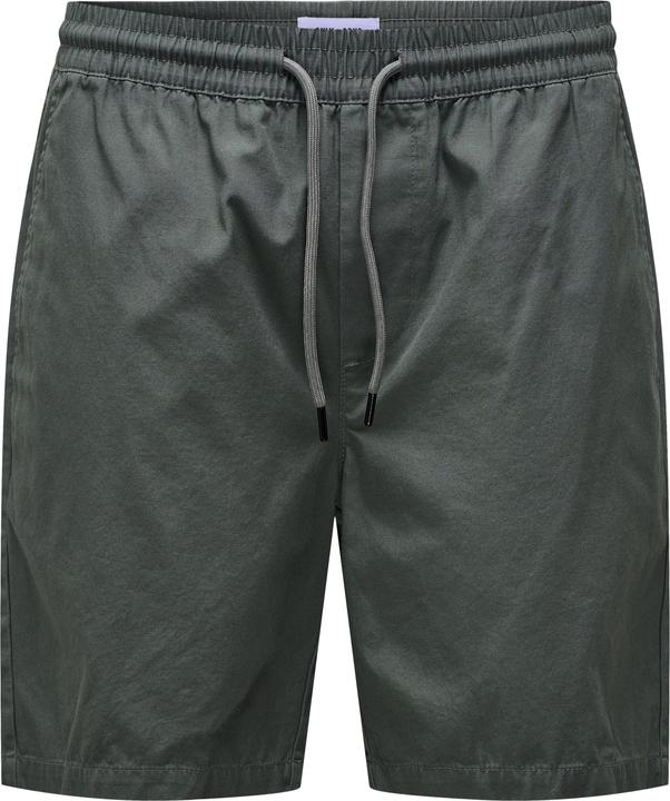 Produktbild Only & Sons Normal geschnitten Shorts Shorts (L)