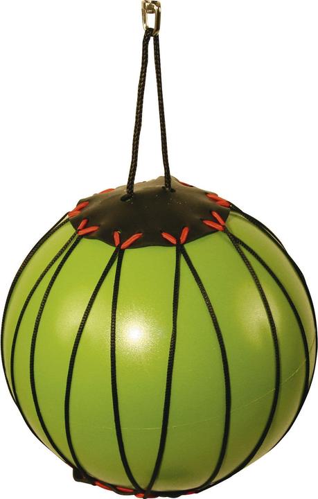 Produktbild Kerbl Therapiespielball