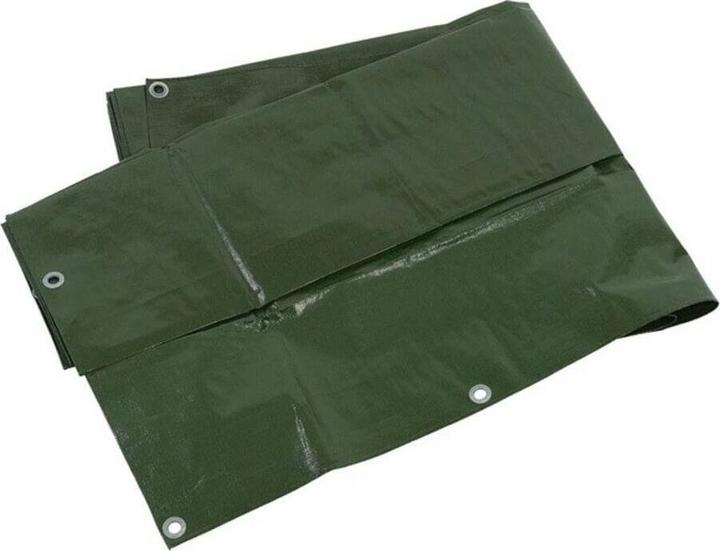 Image du produit Gyso Bâche de couverture (6 x 10 m)