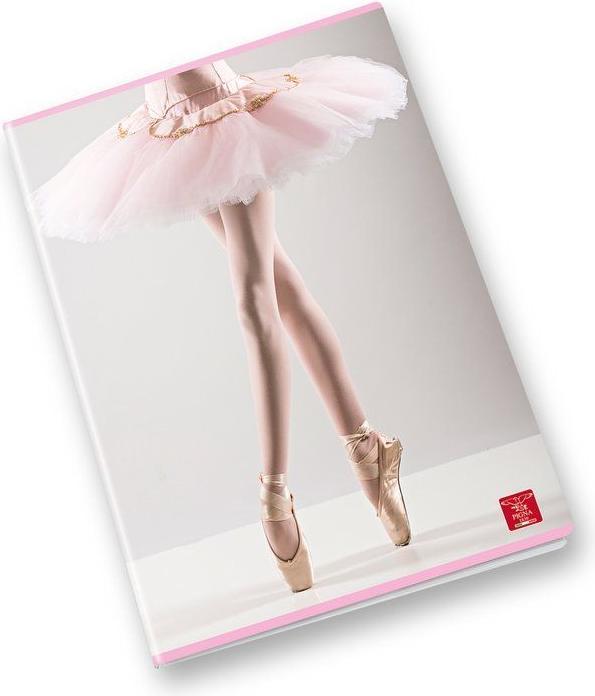 Immagine prodotto Pigna Confezione 10 Quaderni Maxi Assortito Bimbo (Righe)