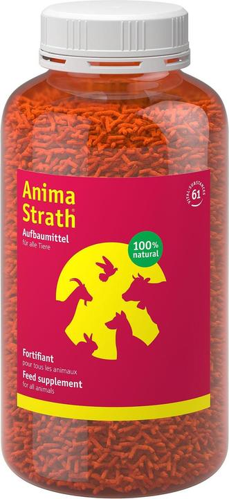 Actual product image Anima-Strath Granules (Adult, 1 pcs., 500 g)