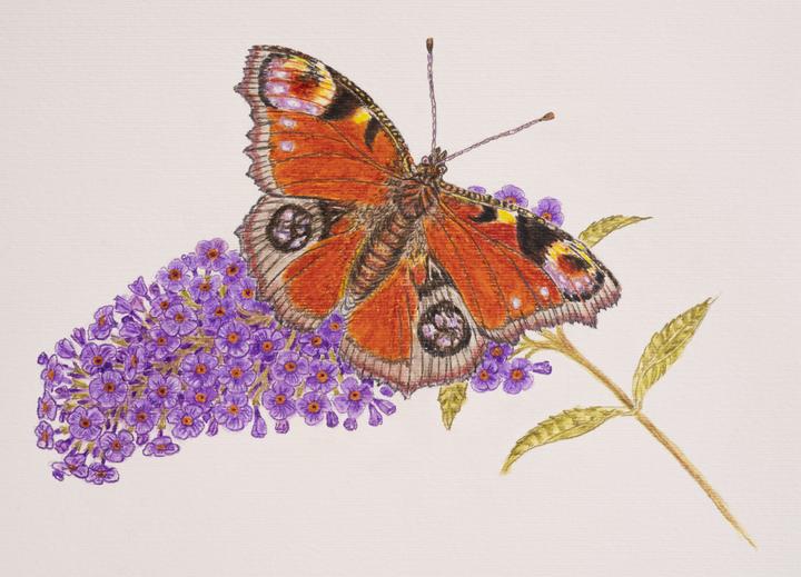 Produktbild Bruynzeel Farbstifte Expression Colour Metalletui, 12 Stück (12x)