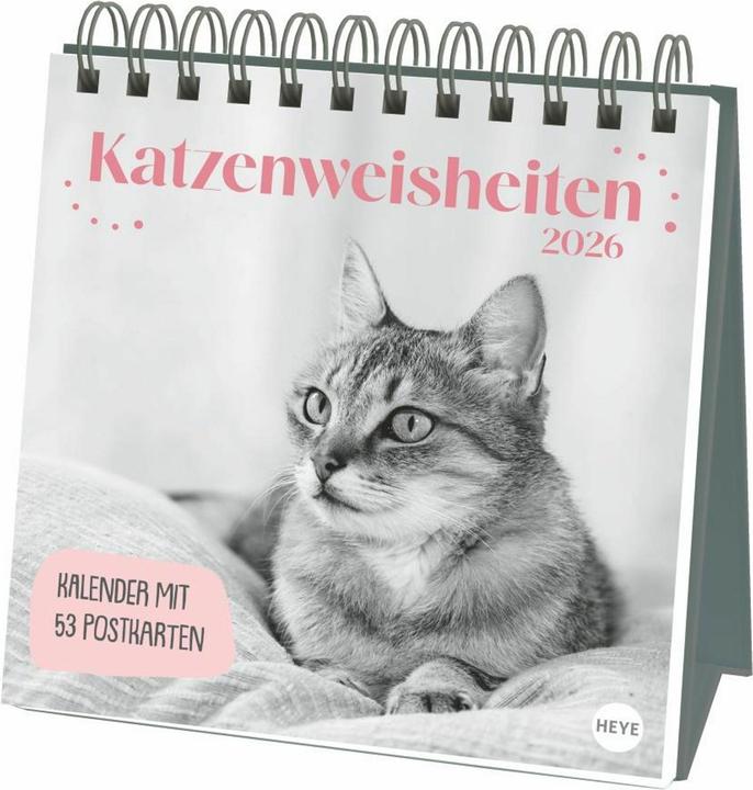 Produktbild Katzen Weisheiten Premium-Postkartenkalender 2026 (16,5 x 17,7 cm)