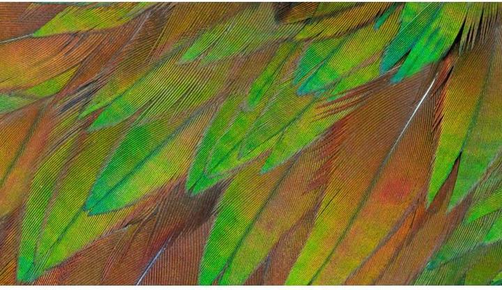 Produktbild Philips 27B1U3900 (3840 x 2160 Pixel, 27")