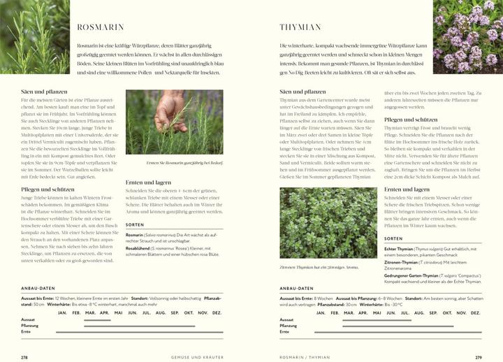 Actual product image No Dig - Gärtnern ohne Umgraben (German, Charles Dowding, 2023)