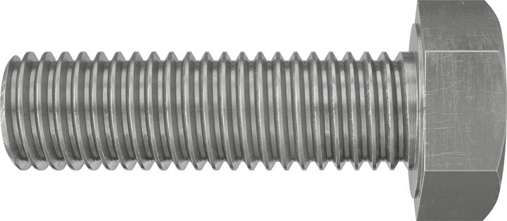 Actual product image Fischer Hexagon head screw SKS 12x30 A4 (M12)