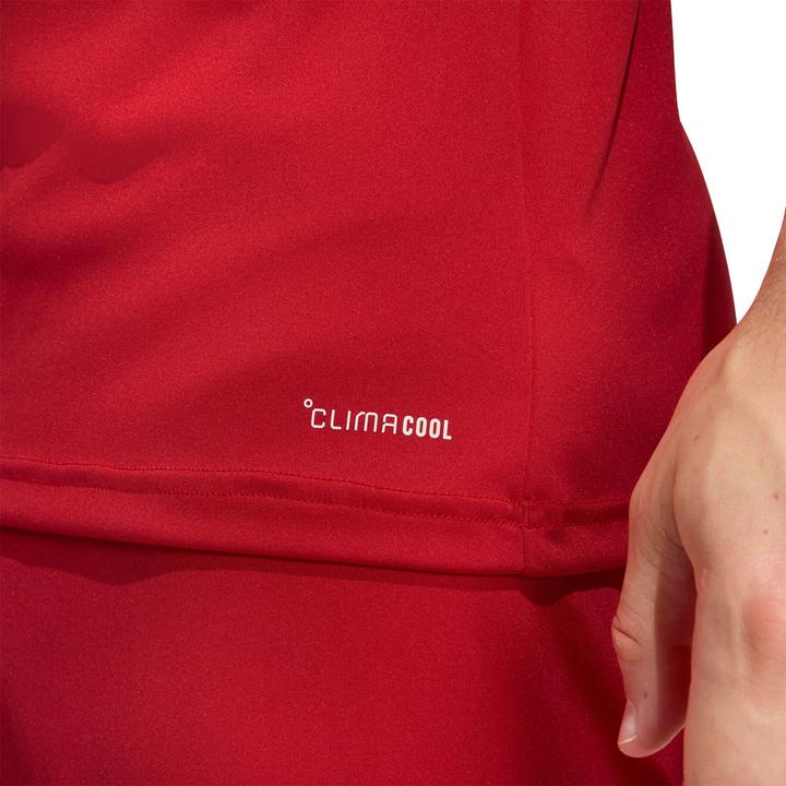 Actual product image Adidas Entrada T-Shirt (XL)