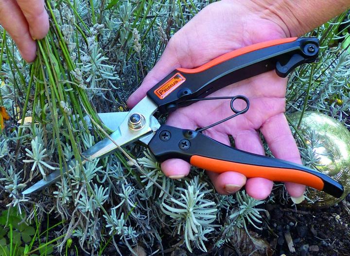 Actual product image Garten Primus Perennial herb shears