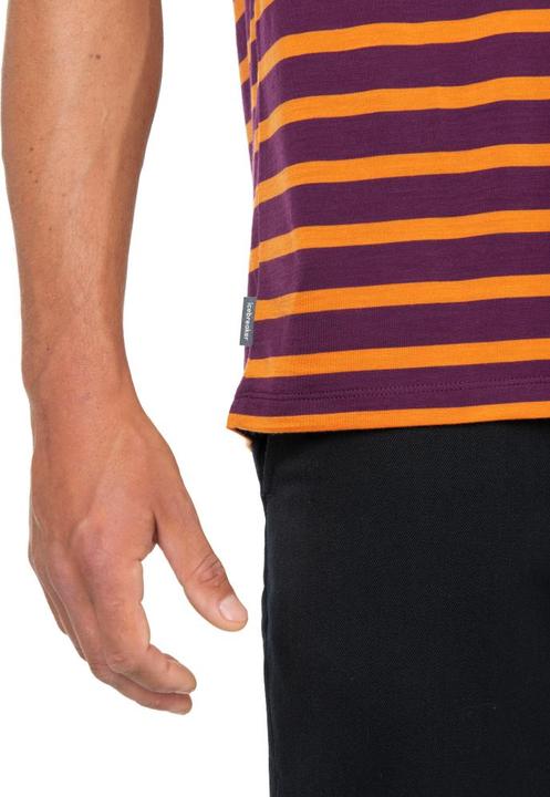 Produktbild Icebreaker M Drayden SS Tee Stripe (XL)