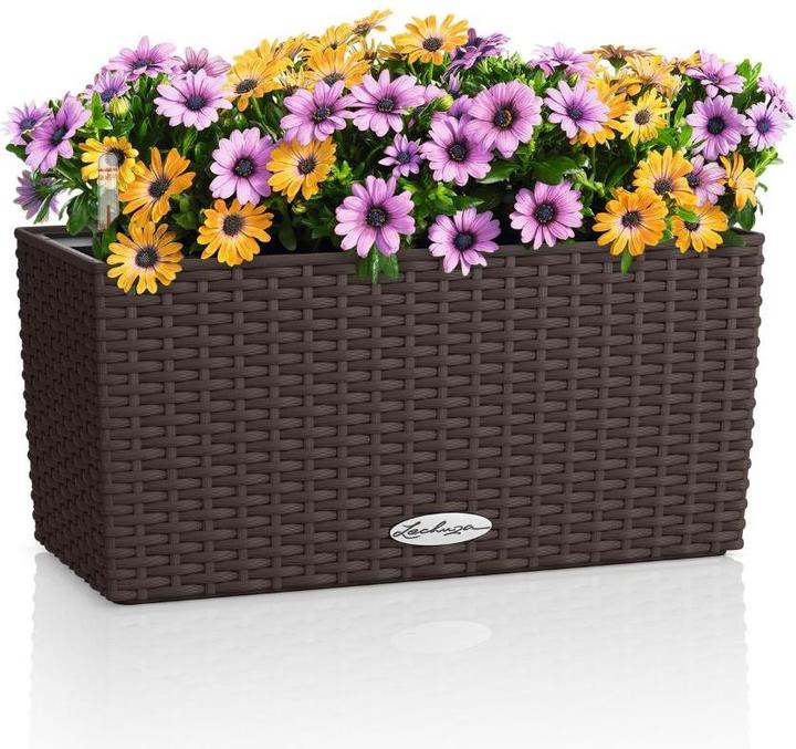 Actual product image Lechuza BALCONERA Cottage 40 (40 x 19 x 19 cm)