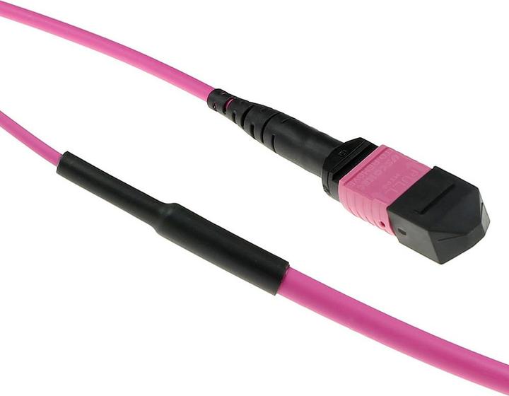 Image du produit ACT 70 mètres Multimode 50/125 OM4(OM3) polarité A câble trunk fibre avec connecteurs femelles MTP/MPO (CAT7, 70 m)