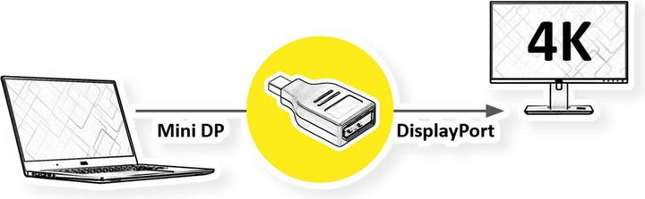 Immagine prodotto Value DisplayPort Adapter, Mini DP ST (3 cm)