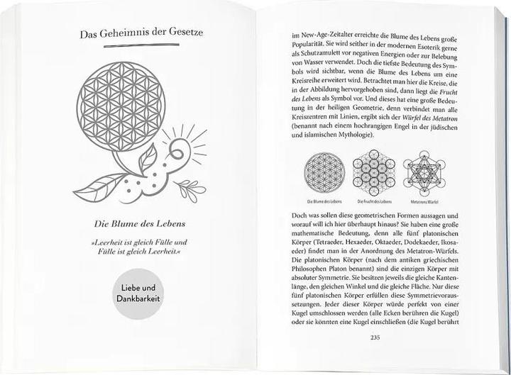 Produktbild Higher Mind. Die Gesetze des Bewusstseins (Deutsch, Andreas Schwarz, 2022)