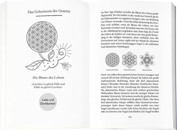Produktbild Higher Mind. Die Gesetze des Bewusstseins (Deutsch, Andreas Schwarz, 2022)