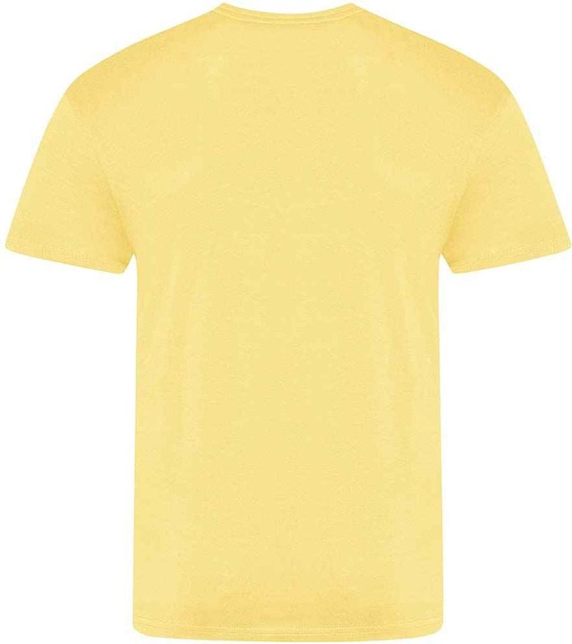 Actual product image Awdis The 100 Tshirt (XL)