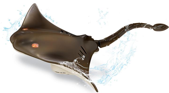 Totally Tech RC Stingray 2.4 Ghz with light