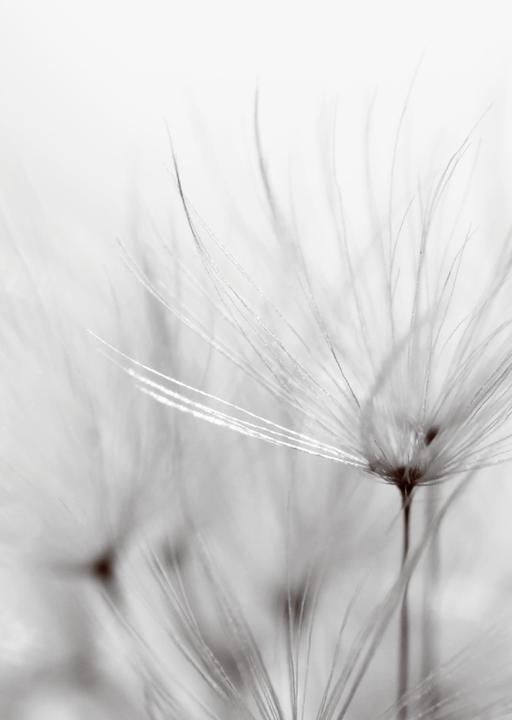 Produktbild Clairefontaine Korresdpondenzset Trauer