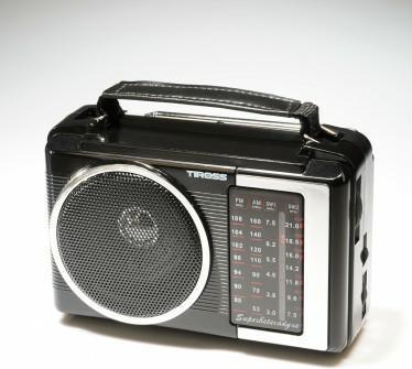 Tiross Récepteur radio TS-460 (AM, FM)