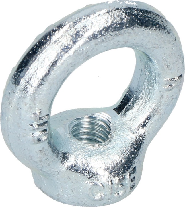 Immagine prodotto Werkstarck Ghiere DIN 582 (M12)