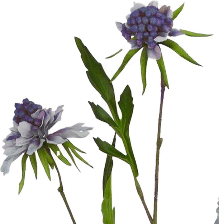 Immagine prodotto Hill Interiors The Natural Garden Collection Gambo di Scabiosa Pianta artificiale (65 cm)