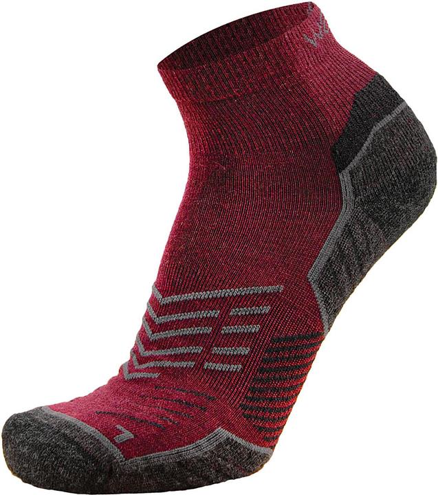 Actual product image Wapiti Merino Trekking short GT04 (42 - 44)