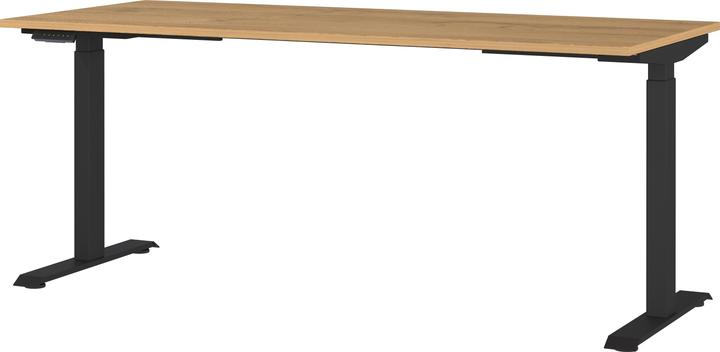 Actual product image Germania JET height-adjustable desk grandson oak rectangular, T-leg frame black 180.0 (180 x 80 x 72 cm)