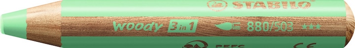 Actual product image STABILO woody 3 in 1 coloured pencil with sharpener and brush (Pastel shades, 18 x)