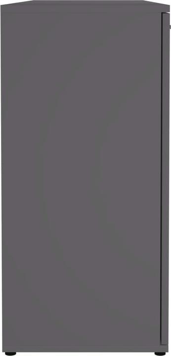 Actual product image VidaXL Sade (120 x 35.5 x 75 cm)