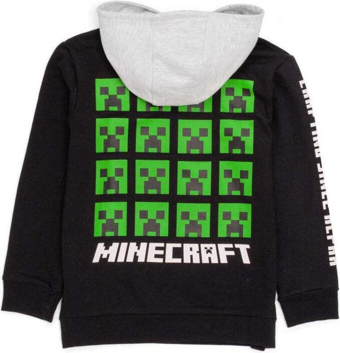 Image du produit Minecraft Sweat à capuche garçon (146)