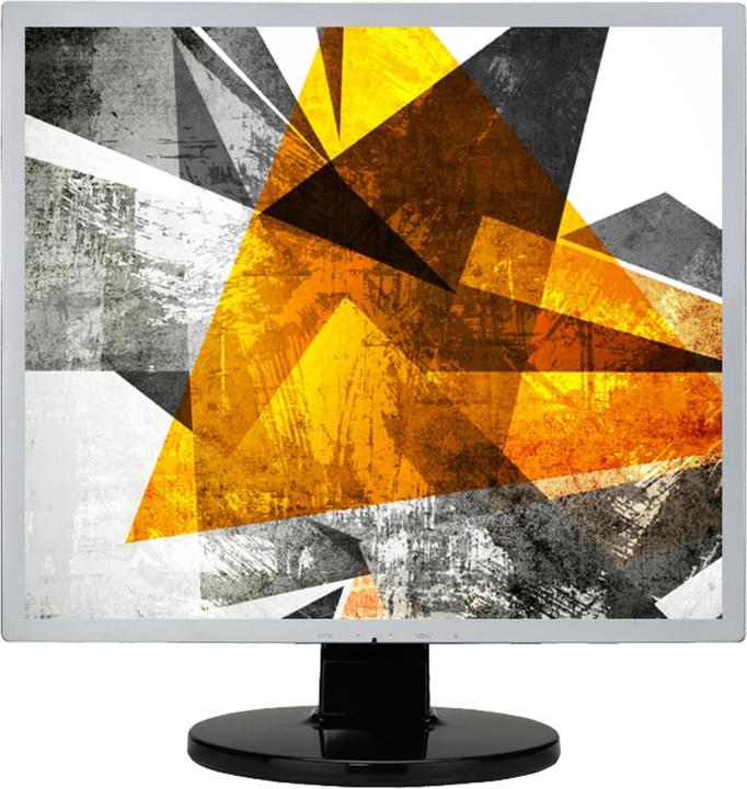 Produktbild AOC E719SDA 43,18cm 17Zoll TFT WLED 5:4 1280x1024 analog + digital speaker 20M:1 250cd/m² 5ms TCO 6.0... (1280 x 1024 Pixel, 17")