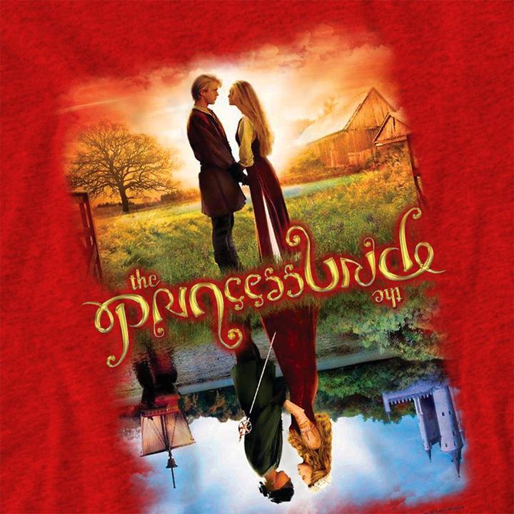 Produktbild The Princess Bride TShirt meliert (M)