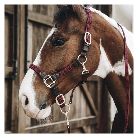 Kentucky Horsewear, Halfter