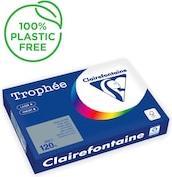 Immagine prodotto Clairefontaine Carta per fotocopie Trophee A3 120g/mq PU=250 fogli grigio acciaio (120 g/m², 250 x, A3)